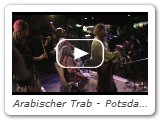Arabischer Trab - Potsdam 2009 - Cocolorus Diaboli