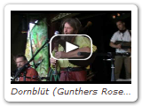 Dornbl t (Gunthers Rose) - Potsdam 2009